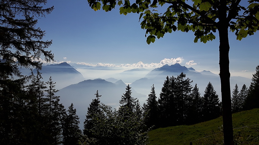 105 Odpolední výlet na horu Rigi nad Lucernem