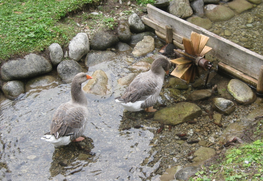 Slovensko,Polsko 2013 061