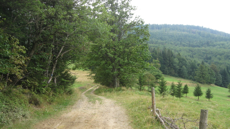 Slovensko,Polsko 2013 291