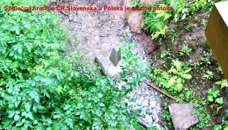 Slovensko,Polsko 2013 334