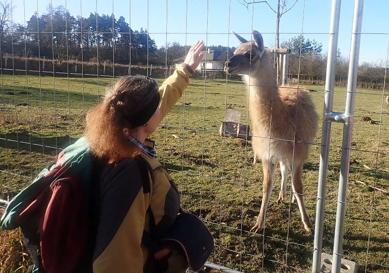 07 Uška a lama jsou jasné.