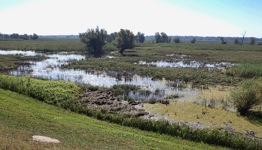 04 Kopački Rit, taky Evropská Amazonie.