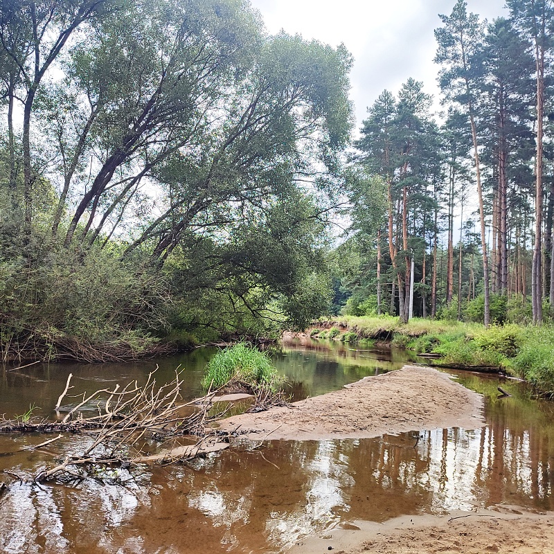 29 Lužnice je úplně jiná řeka než Vltava. Krásná.