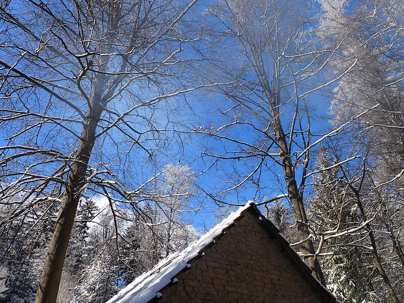 06 I sluníčko nám svítilo.