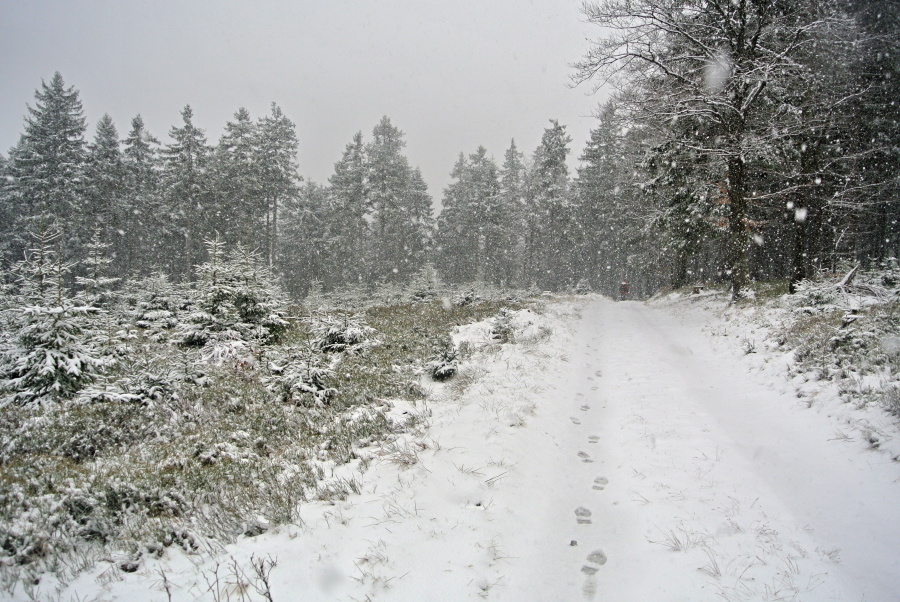 31 Po cca 50 km scházíme do Ostružné